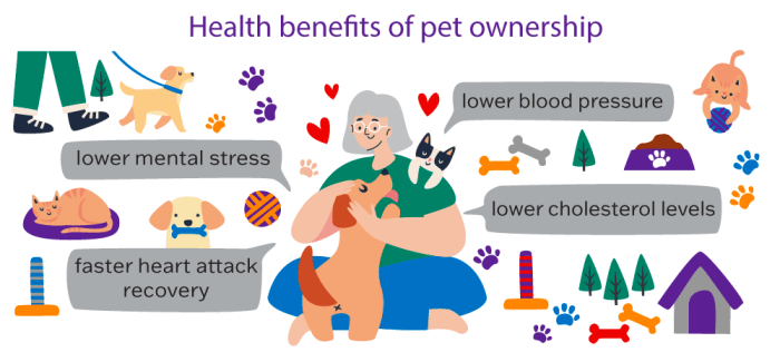 Benefits infographics owning care shelter shelters fundraising physical adoption brandongaille wellness ly visualoop