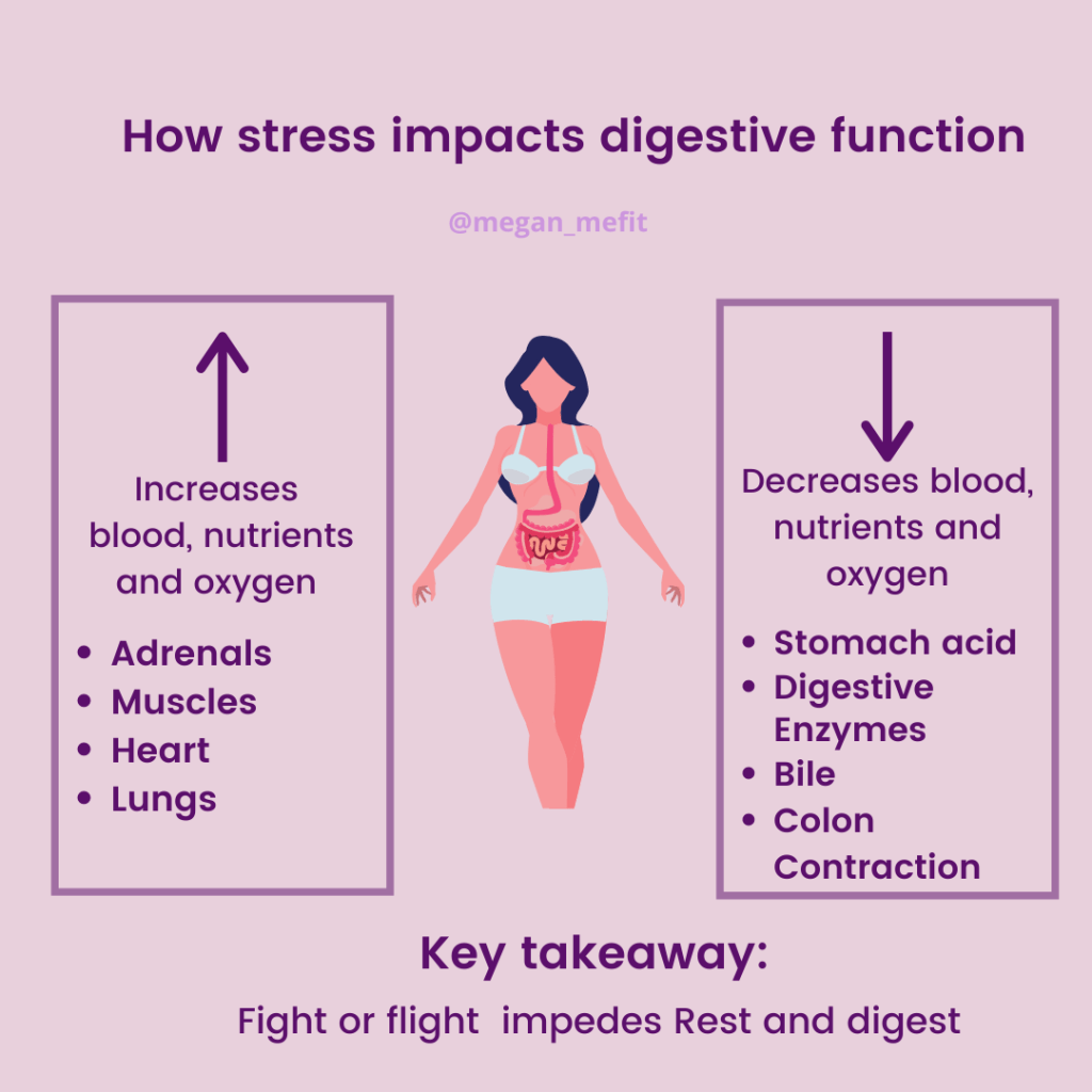 Digestion digestive does