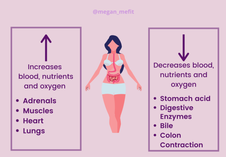 Digestion digestive does